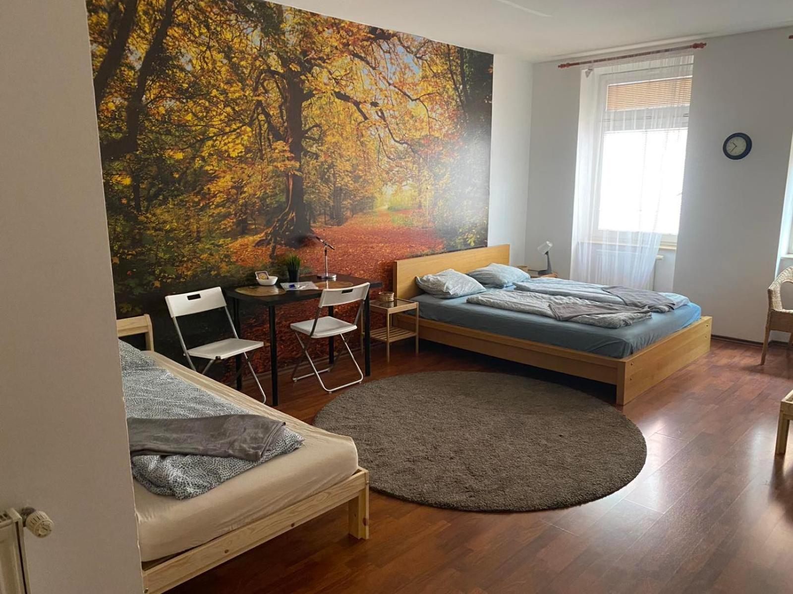 Apartments Spolkova 브르노 외부 사진